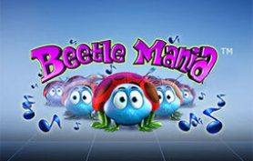 Beetle Mania