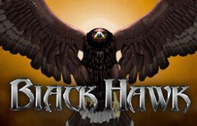 Black Hawk