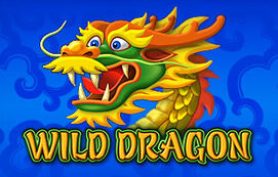 Wild Dragon