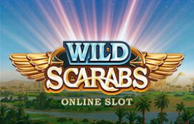 Wild Scarabs